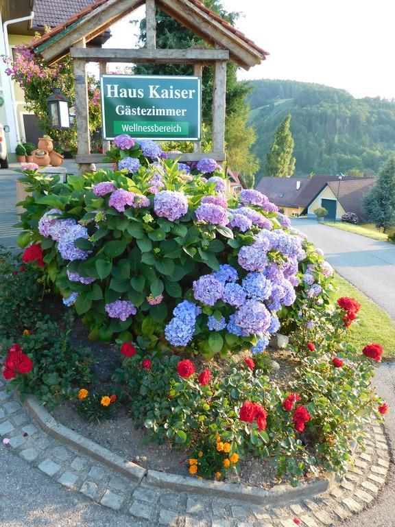 绍萨尔地区基策克Gastehaus Kaiser公寓 外观 照片